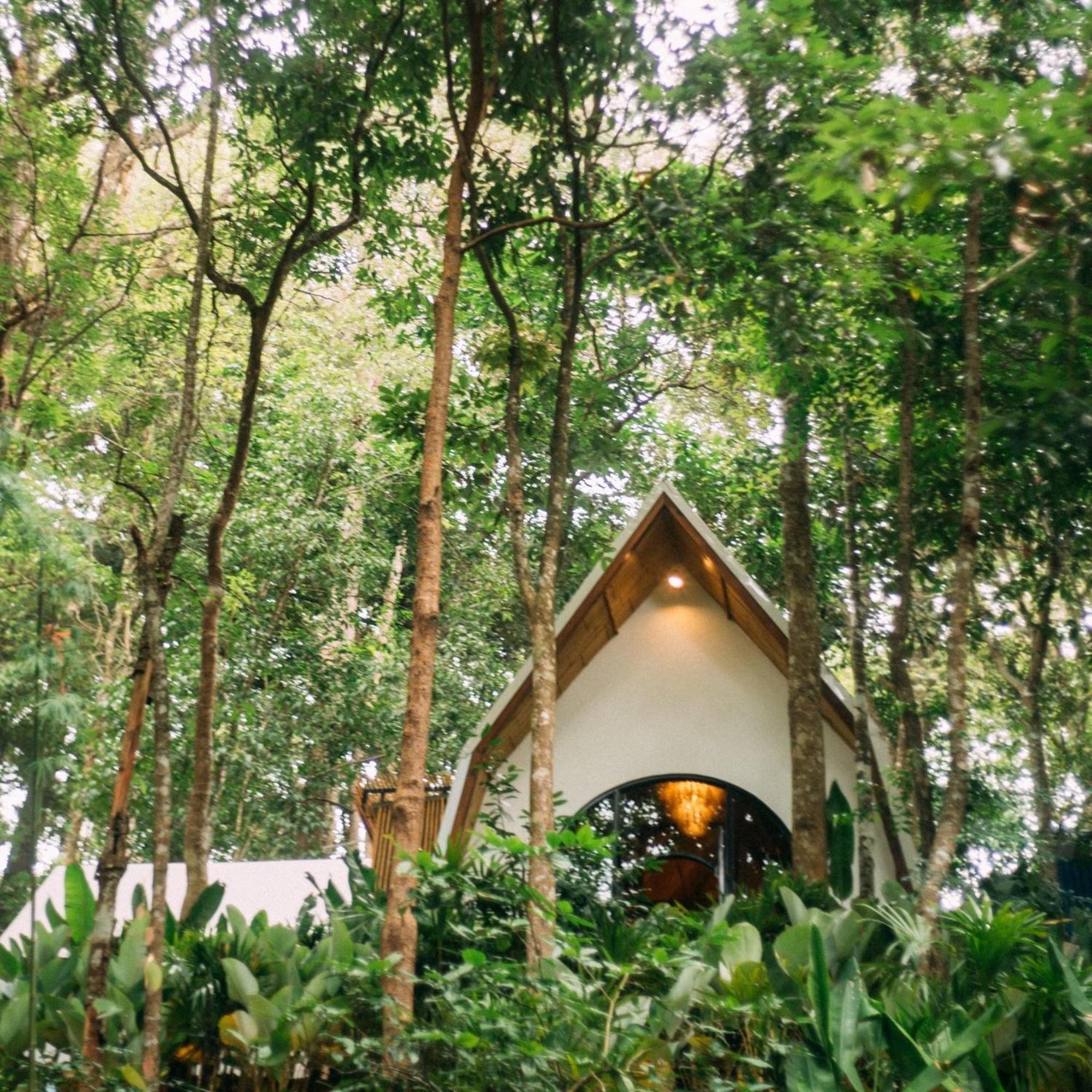 Hotel Lannawild à Chiang Mai Chambre photo
